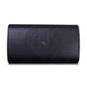 2-way, outdoor speaker, 6.5
