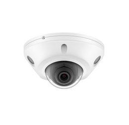 DynoTech 6MP Dual-Light Vandal-Proof Camera
